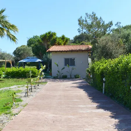 Vakantiehuis Jimmy's Pool House