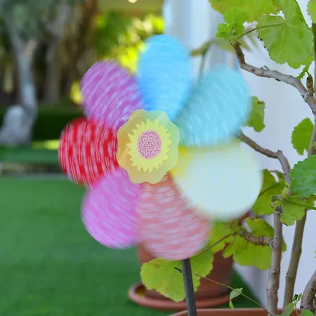 Jimmy's Pool House Vakantiehuis *