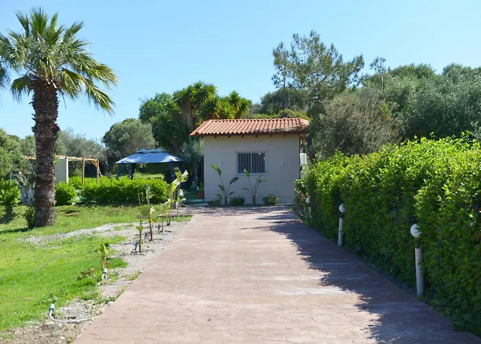 Tatil Evi Jimmy's Pool House
